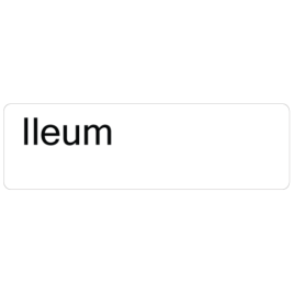 lleum