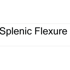Splenic Flexure