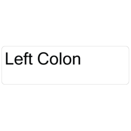Left colon
